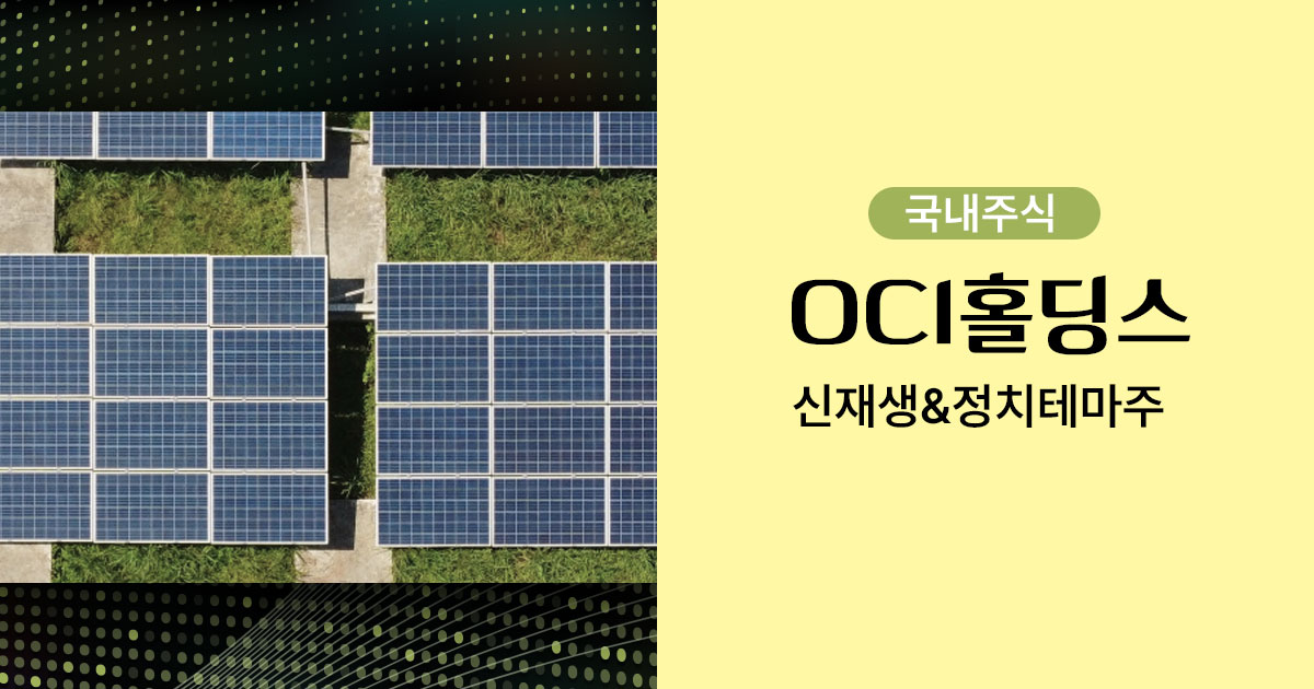 OCI홀딩스